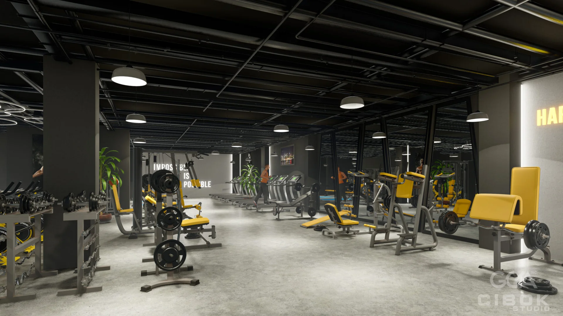 Salle d’entraînement contemporaine — vue 2