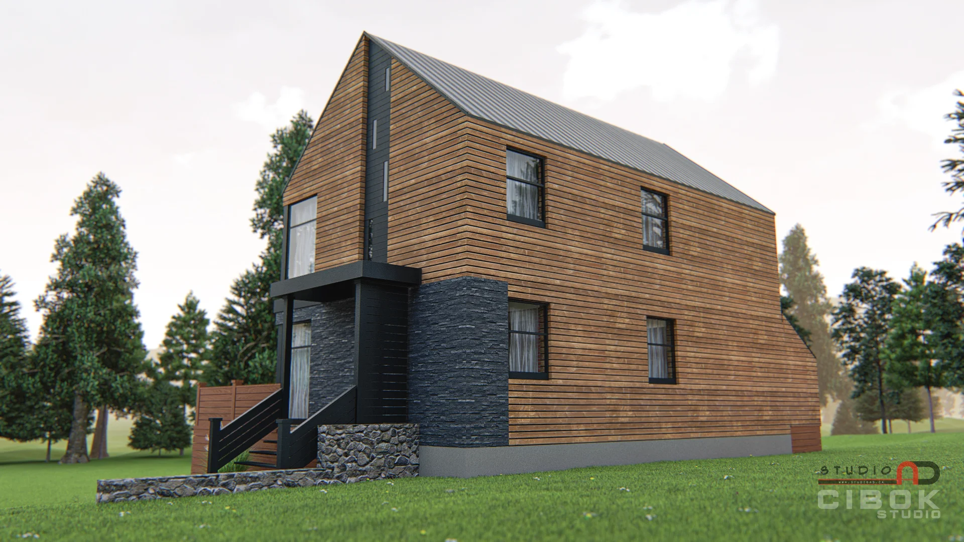 Chalet contemporain — vue 3